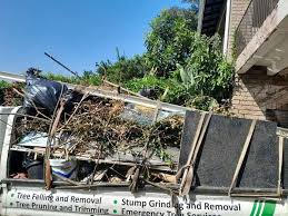 Best Residential Junk Removal  in Stockbridge, MI